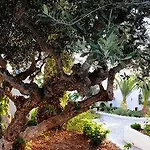 Village & Otel Hersonissos (Crete)