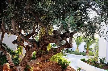 Village & Hotel Hersonissos (Crete)